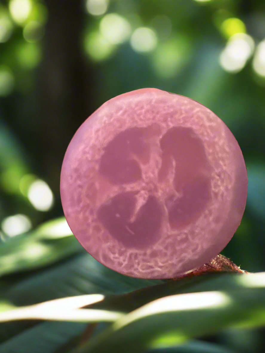 LAVENDER LOOFAH NATURAL SOAP