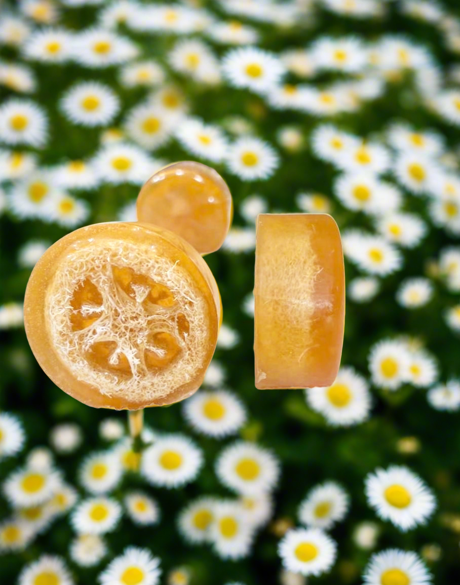 CHAMOMILE LOOFAH NATURAL SOAP